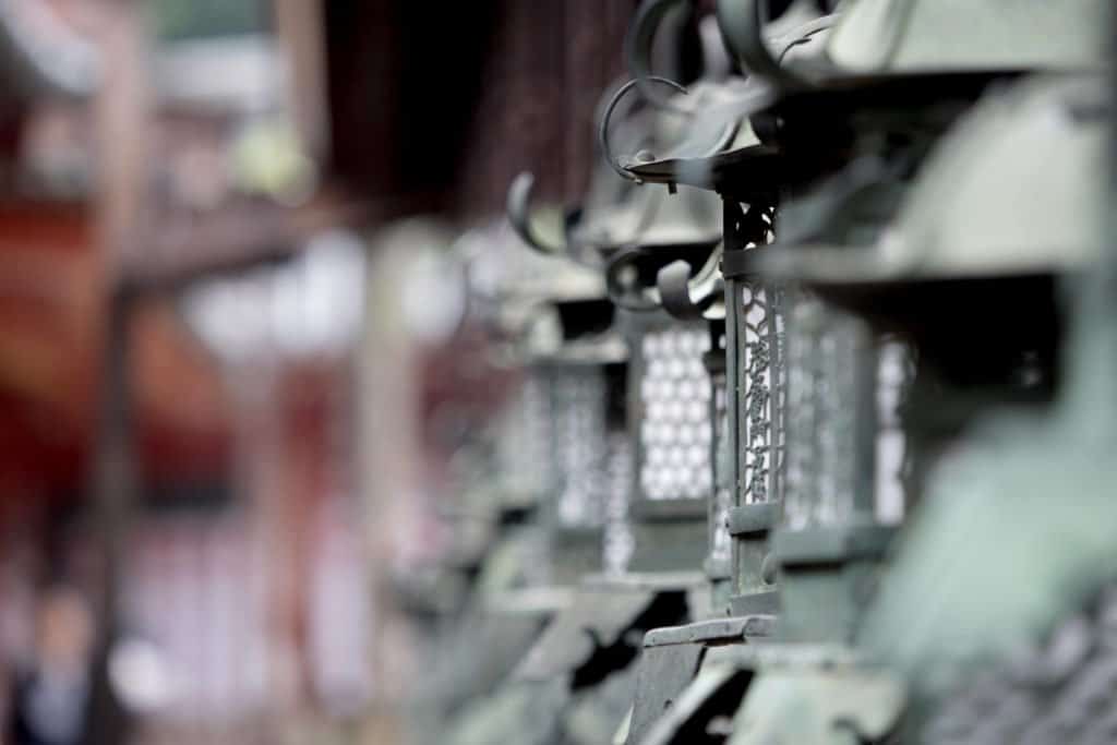 Japon, Nara, daim, temple, Kyoto