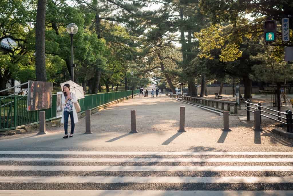 Japon, Nara, daim, temple, Kyoto