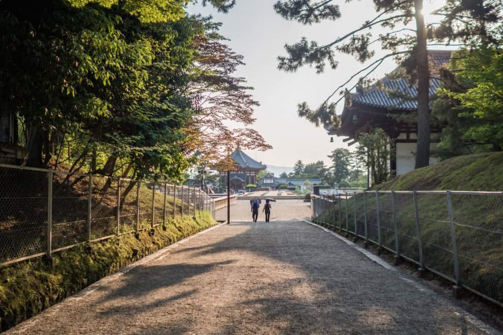 Japon, Nara, daim, temple, Kyoto