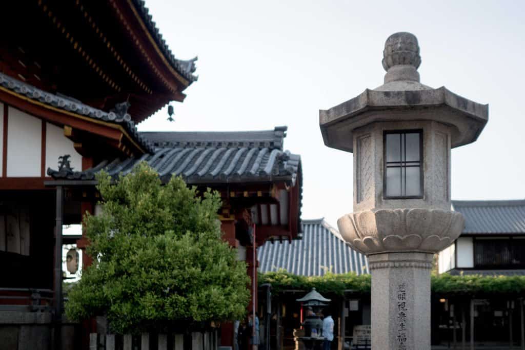 Japon, Nara, daim, temple, Kyoto