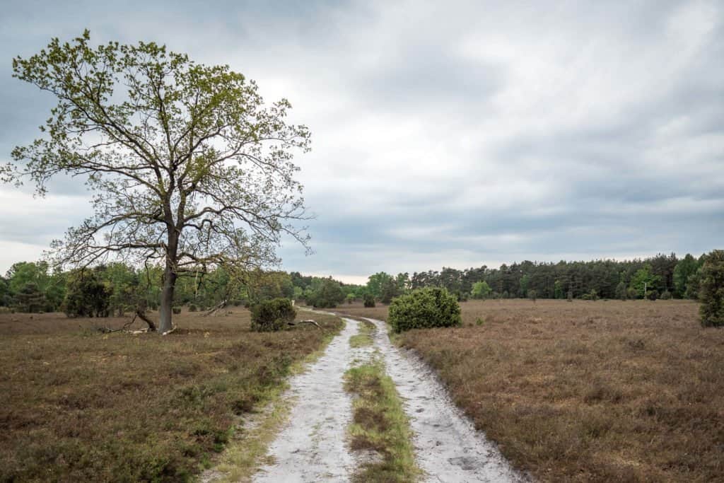 Lunebourg, Lüneburger Heide,