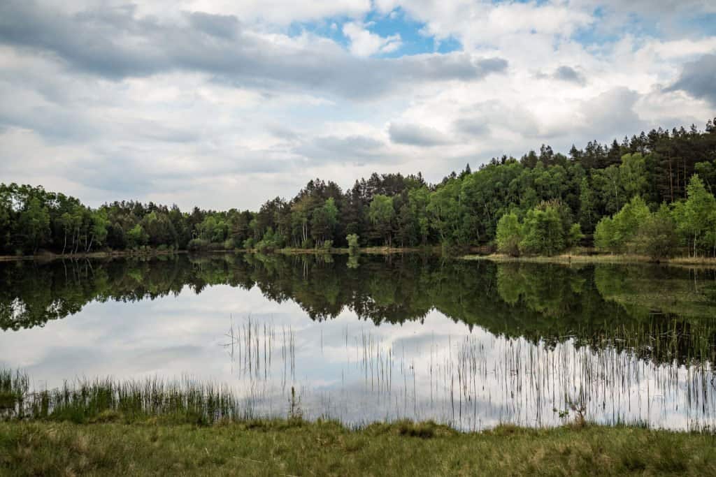 Lunebourg, Lüneburger Heide,