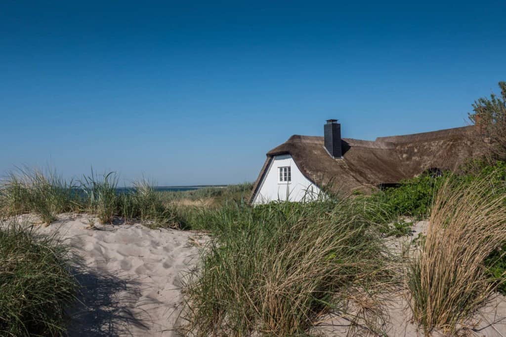 Fischland-Darss-Zingst, Allemagne, péninsule, nature, roadtrip