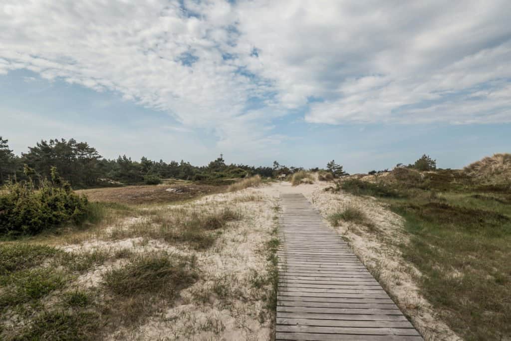 Fischland-Darss-Zingst, Allemagne, péninsule, nature, roadtrip