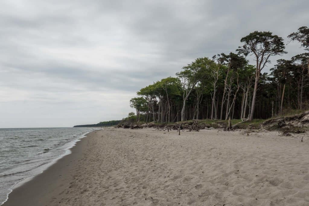 Fischland-Darss-Zingst, Allemagne, péninsule, nature, roadtrip