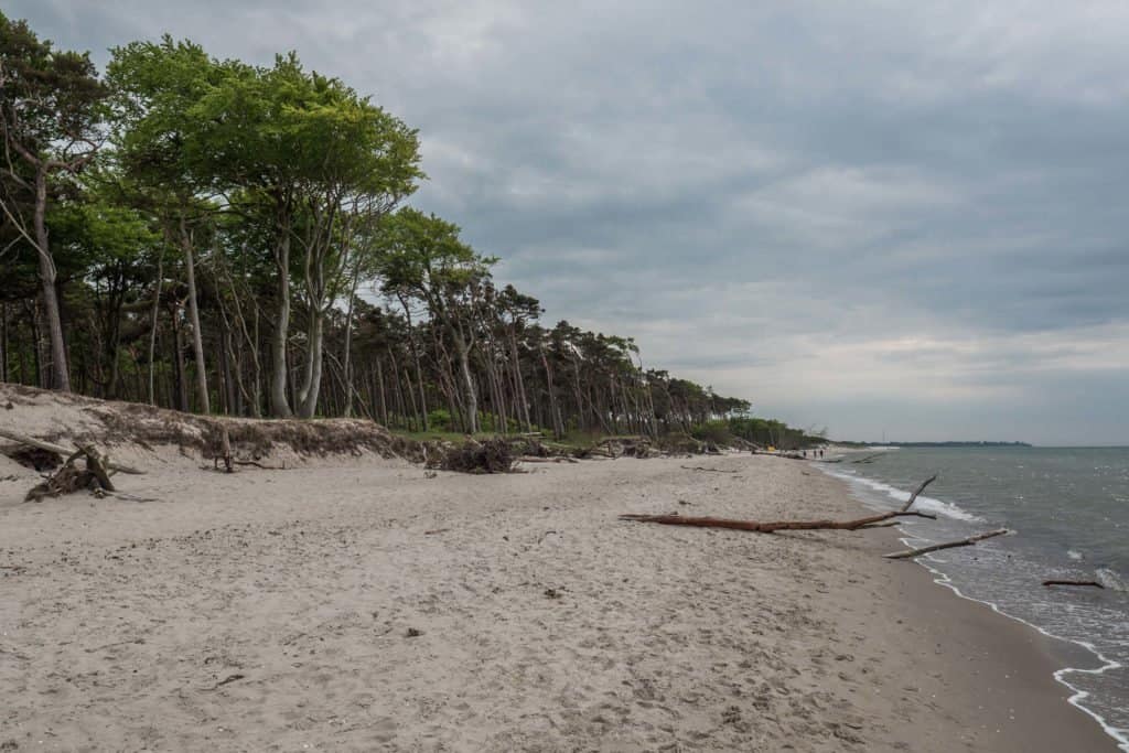 Fischland-Darss-Zingst, Allemagne, péninsule, nature, roadtrip