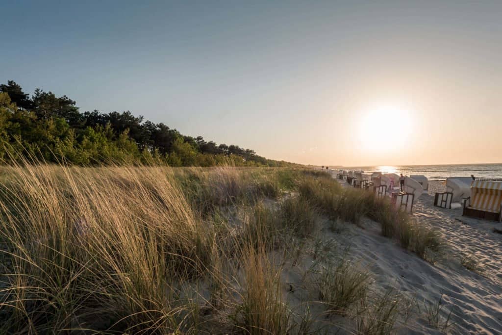 Fischland-Darss-Zingst, Allemagne, péninsule, nature, roadtrip