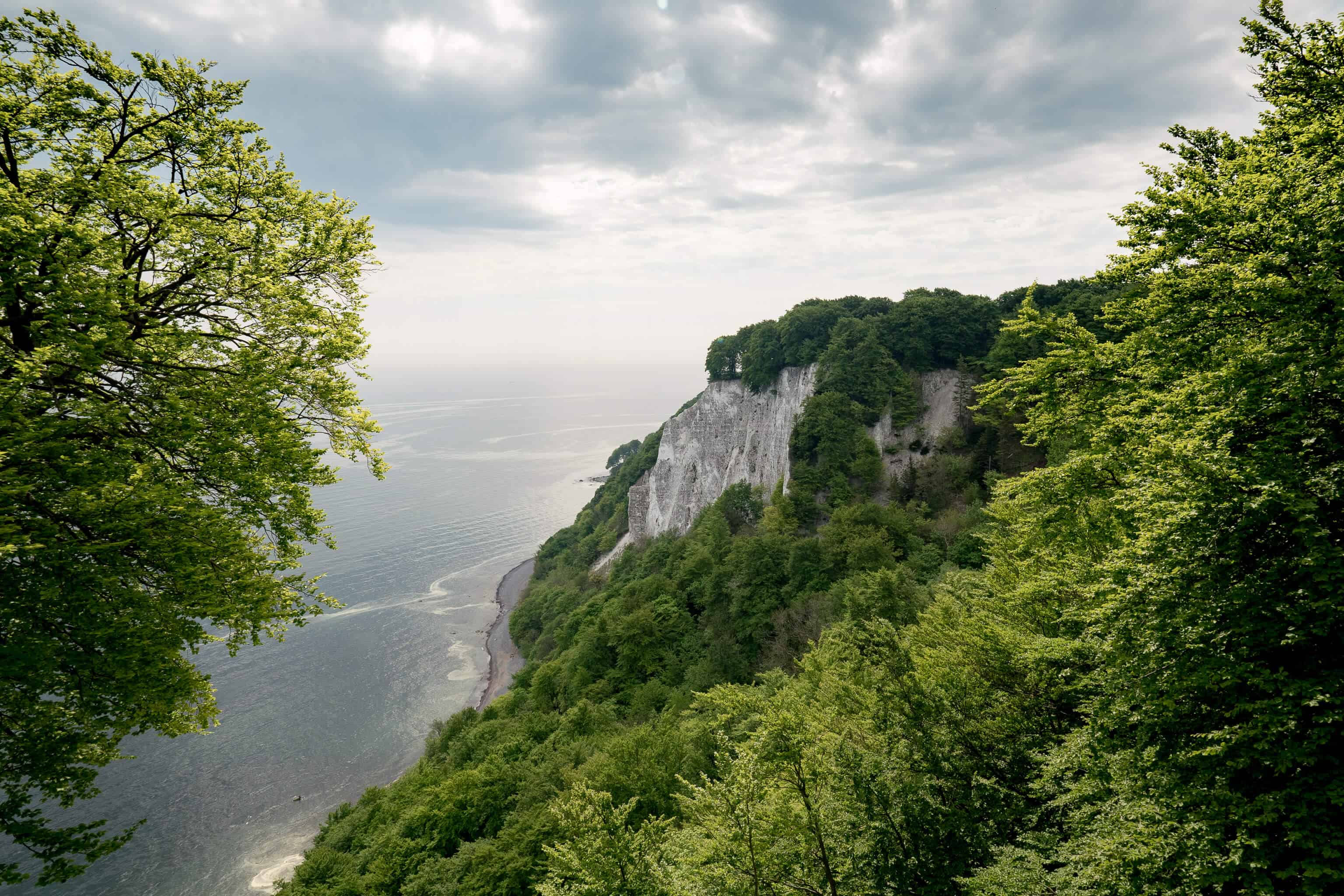 Allemagne, Europe, Rügen, Ruegen, ile, Baltique, mer, nature, Hiddensee