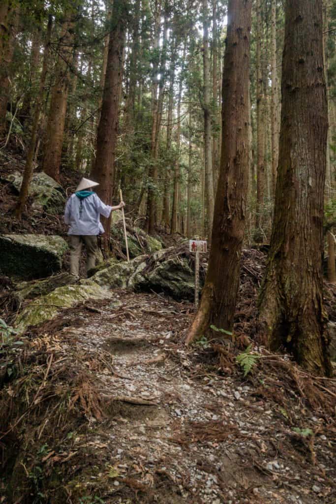 Shikoku, pèlerinage, pèlerin, famille, bébé, Japon, voyage, henro, ohenro, temple, chemin, bois, foret, arbre, sentier, randonner, trek, voyageuse, maman, porte bébé, Amandine