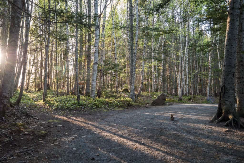 Nouveau Brunswick, Canada, voyage, roadtrip, Fundy, parc