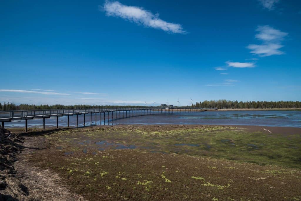 Nouveau Brunswick, Canada, voyage, roadtrip, parc, nature, ile, Lamèque