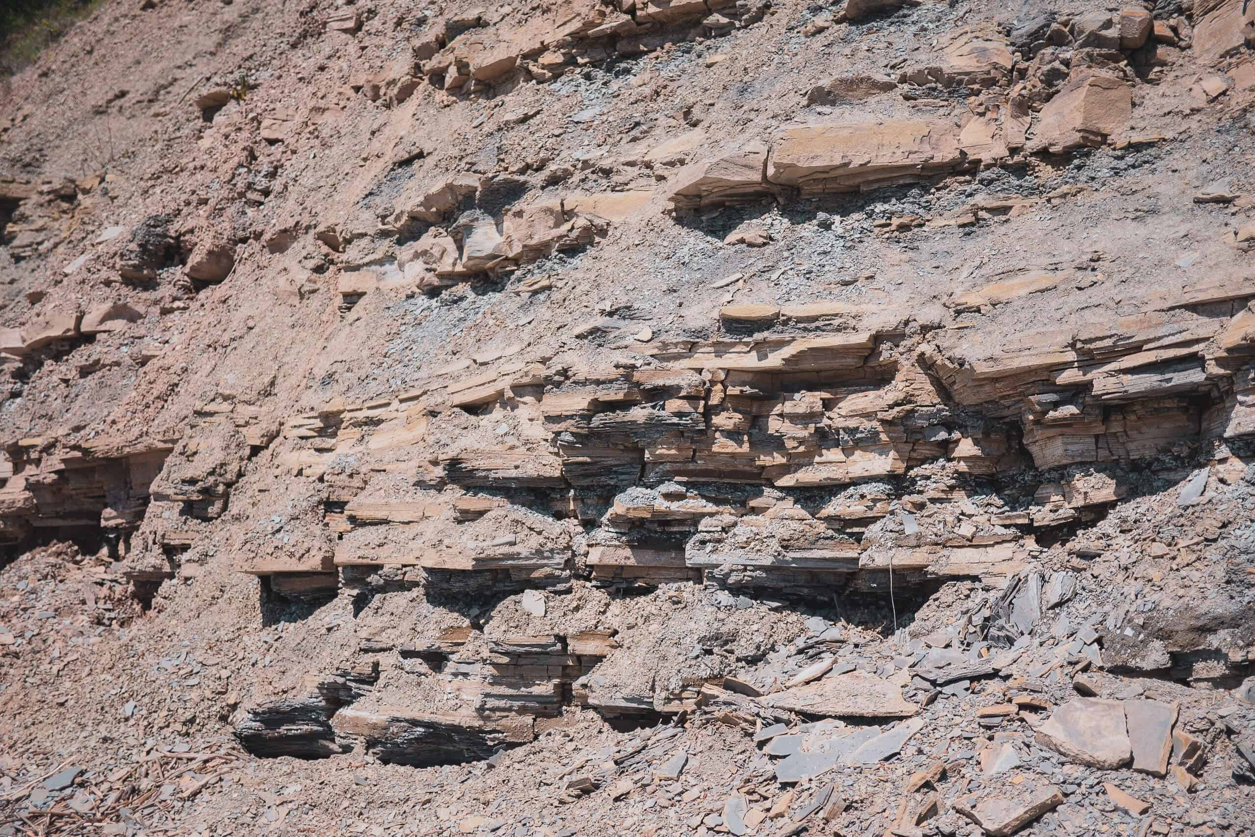 parc national de Miguasha, Québec, Canada, Québec Maritime, Gaspésie, paléontologie