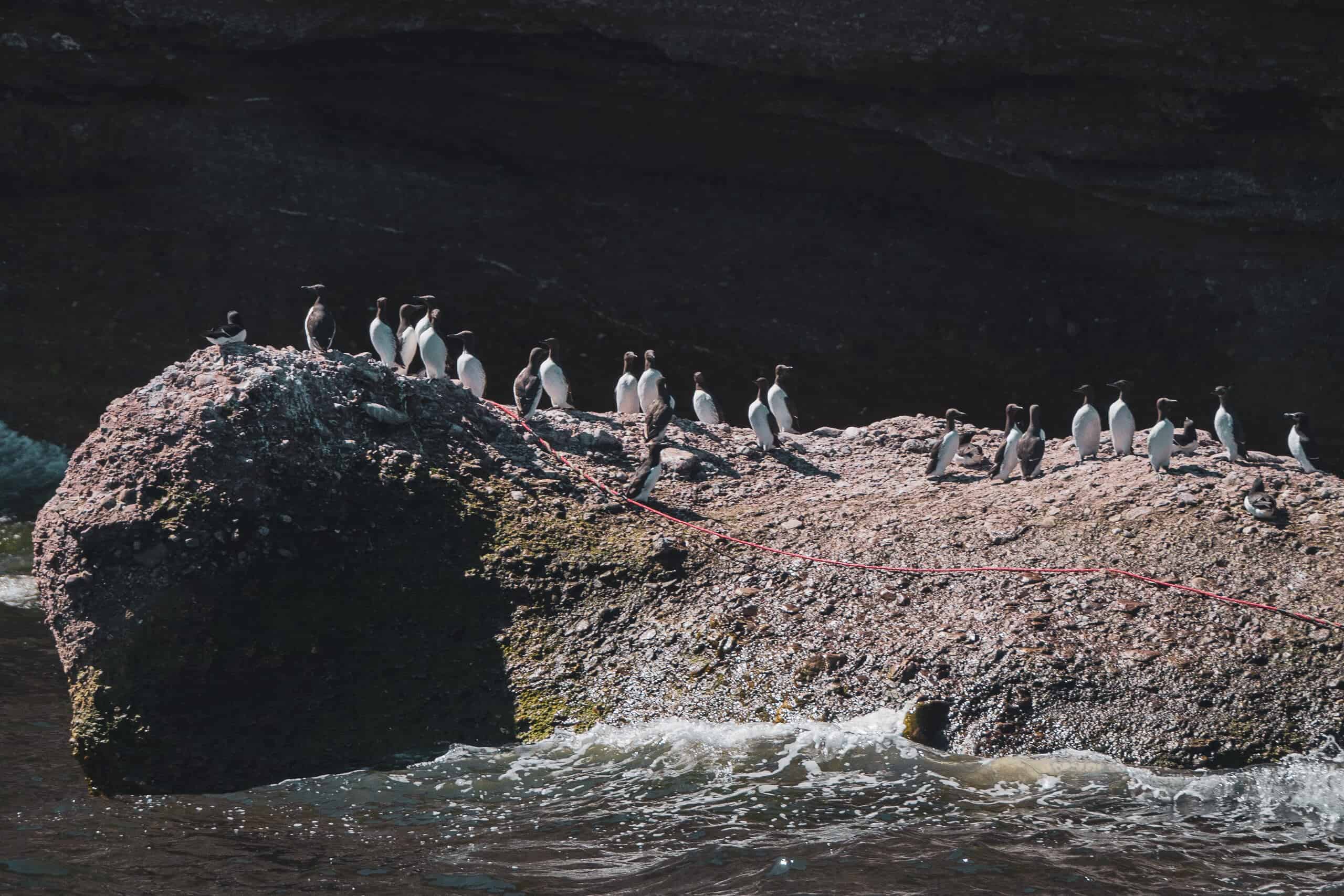 Québec, Canada, Québec Maritime, Gaspésie, route des phares, circuit, phare, mer, parcs, Géoparc de Percé, parc national de l’île-Bonaventure-et-du-Rocher-Percé, Rocher Percé