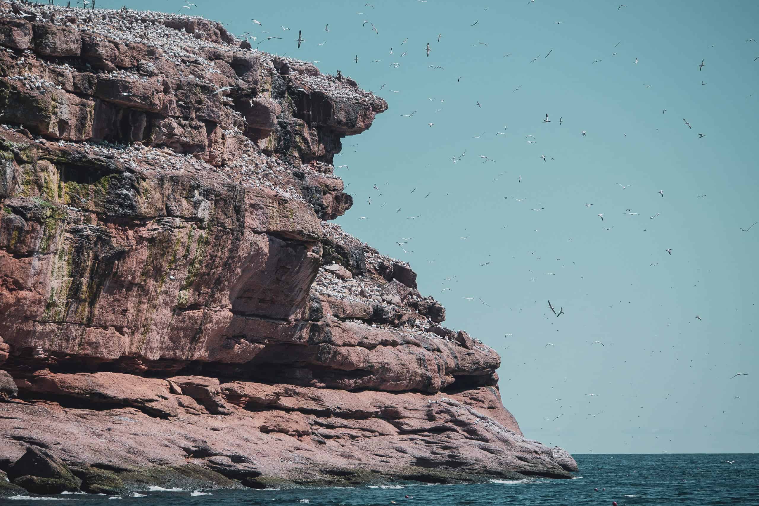 Québec, Canada, Québec Maritime, Gaspésie, route des phares, circuit, phare, mer, parcs, Géoparc de Percé, parc national de l’île-Bonaventure-et-du-Rocher-Percé, Rocher Percé