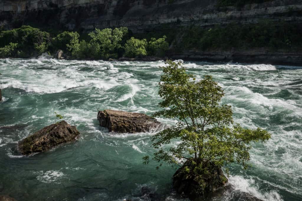 Niagara, chutes, rivière, Ontario, Canada, Amérique du Nord, roadtrip, voyage, famille, nature, White Water Walk, Niagara Whirlpool