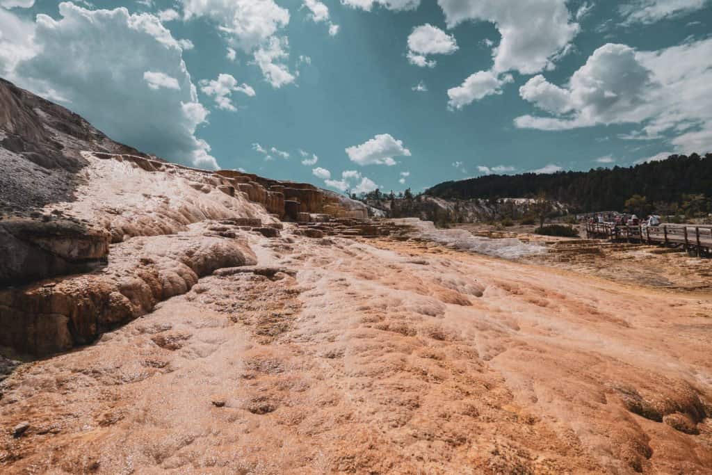 Yellowstone, Grands Parcs, parc national, réserve, nature, USA, Amérique, américain, animaux, roadtrip, visiter, voyage, conseils, Mammoth Hot Spring