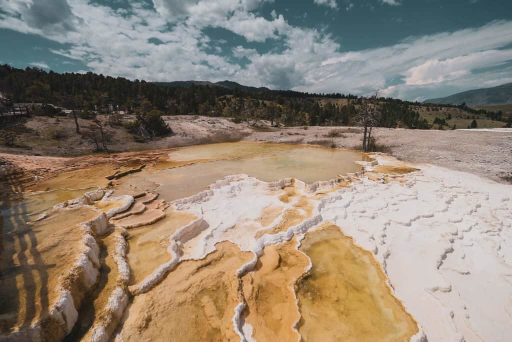 Yellowstone, Grands Parcs, parc national, réserve, nature, USA, Amérique, américain, animaux, roadtrip, visiter, voyage, conseils, Mammoth Hot Spring