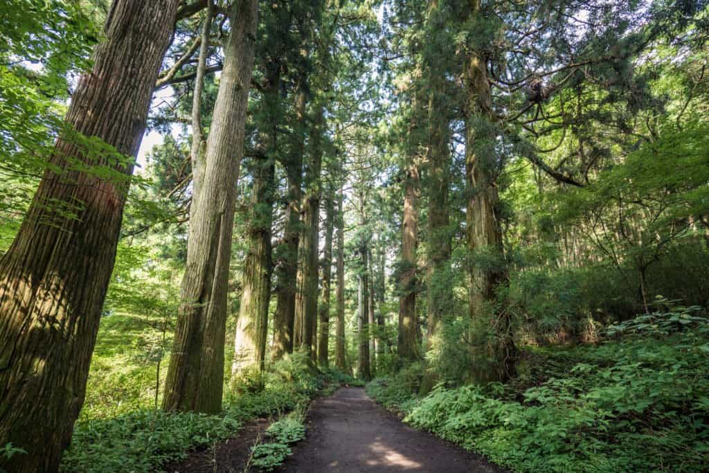 Hakone, Japon, voyage, Hakone-machi, Tôkaidô