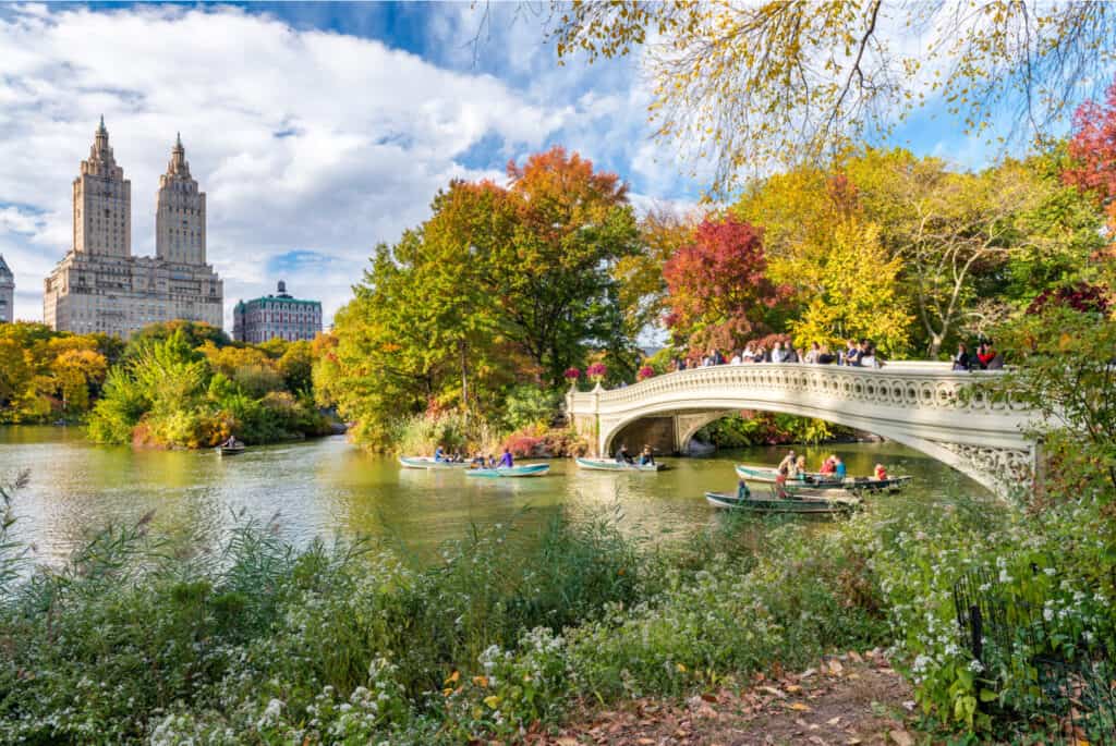 central parc visiter new york 5 jours