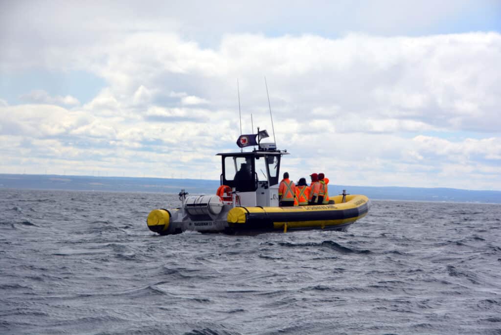 sortie zodiac tadoussac