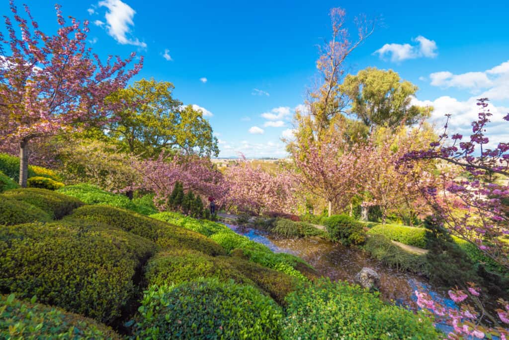 trastevere jardin botanique