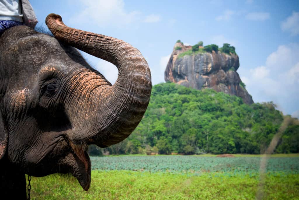 sri lanka où partir au soleil en avril