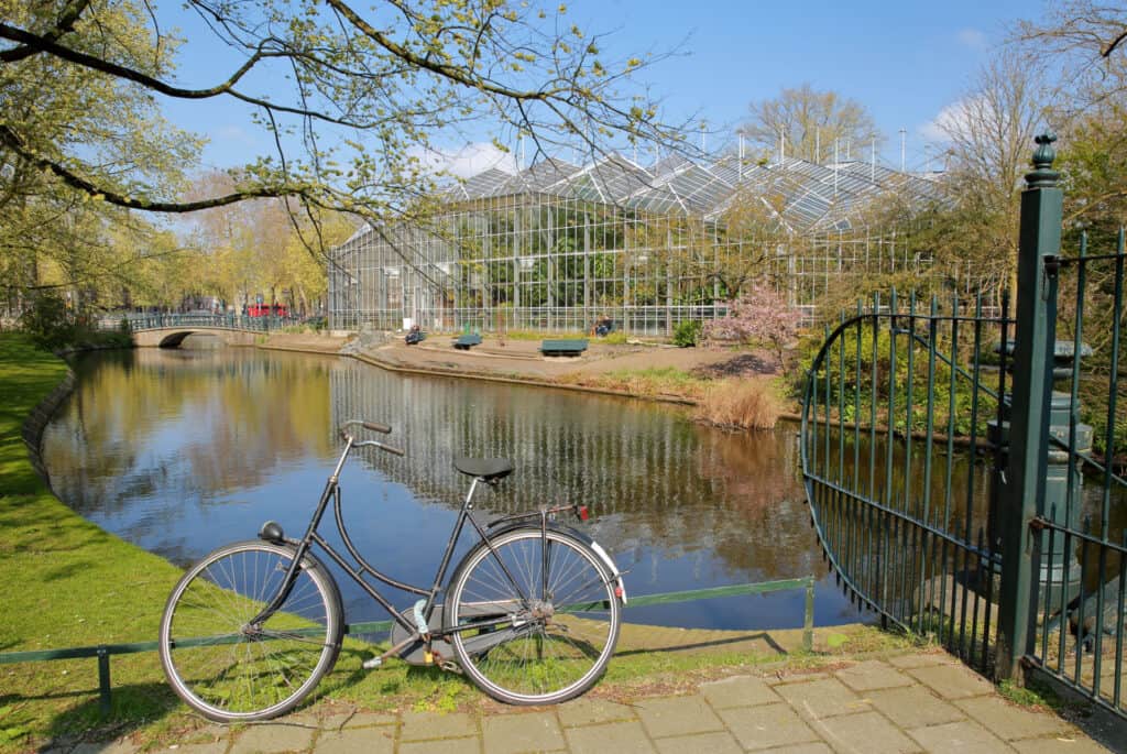 jardin botanique plantage