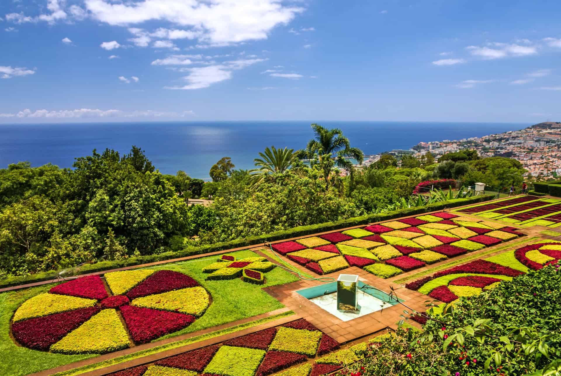 jardin botanique madère