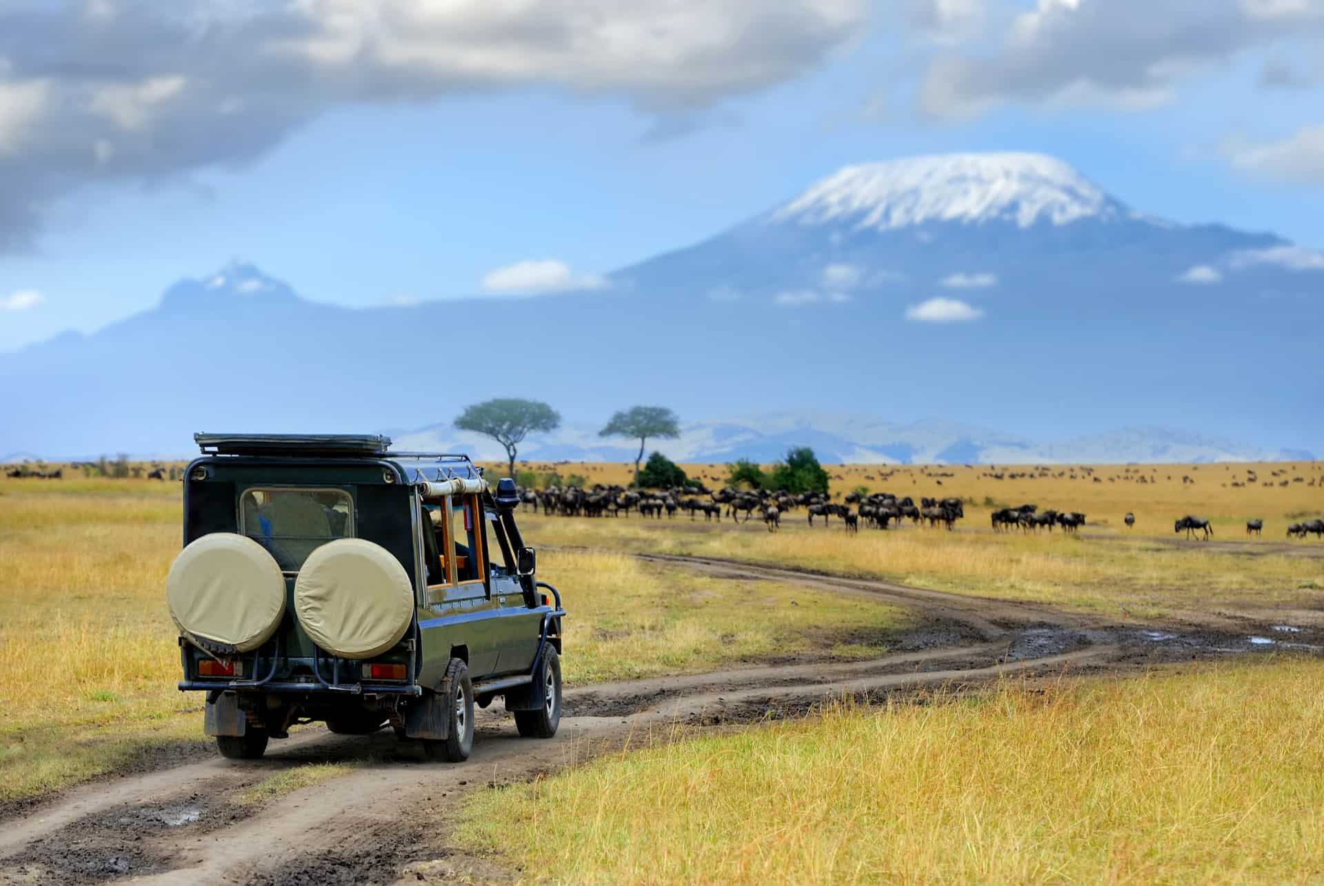 kilimandjaro safari en jeep