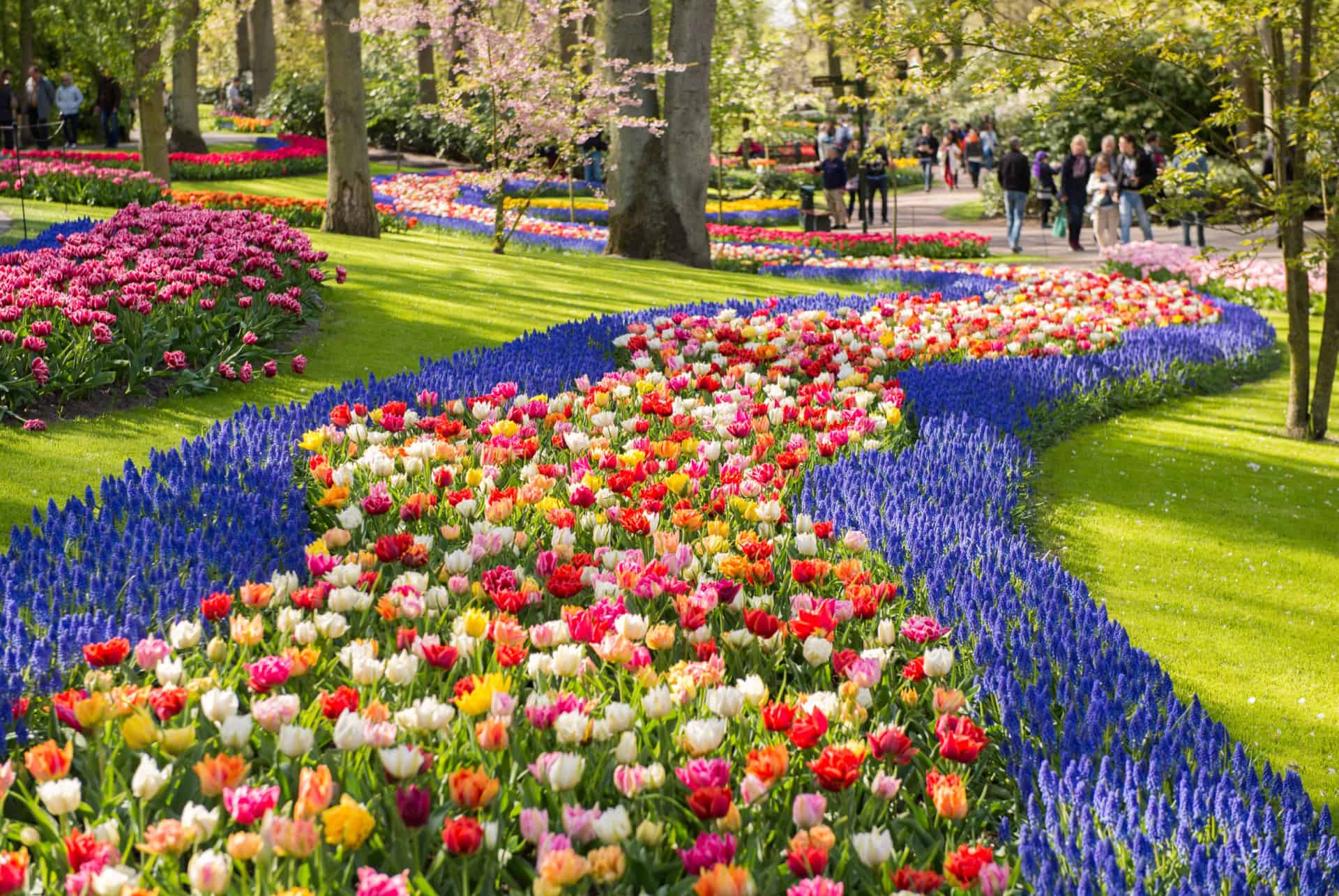 visiter keukenhof