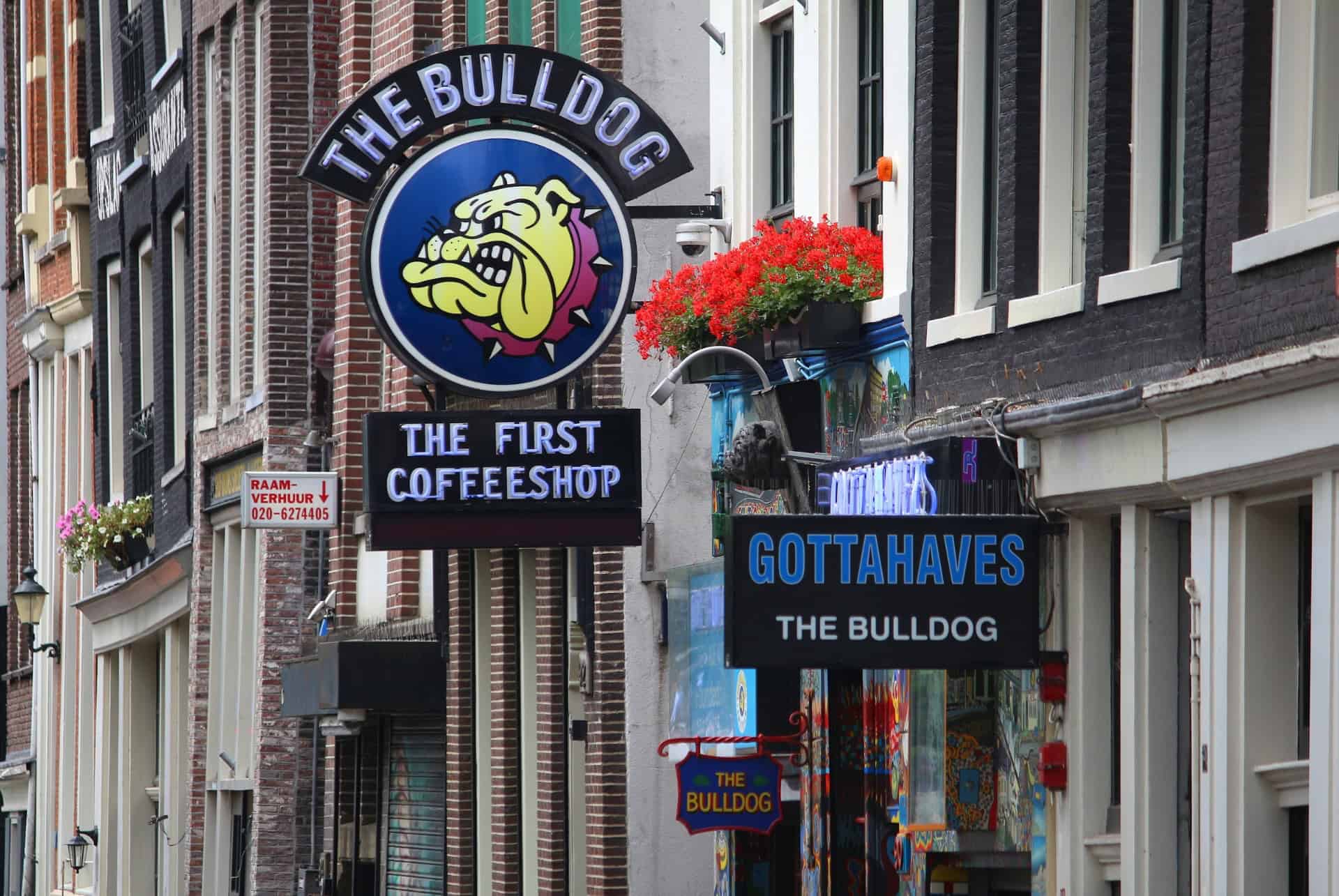 amsterdam coffeeshop