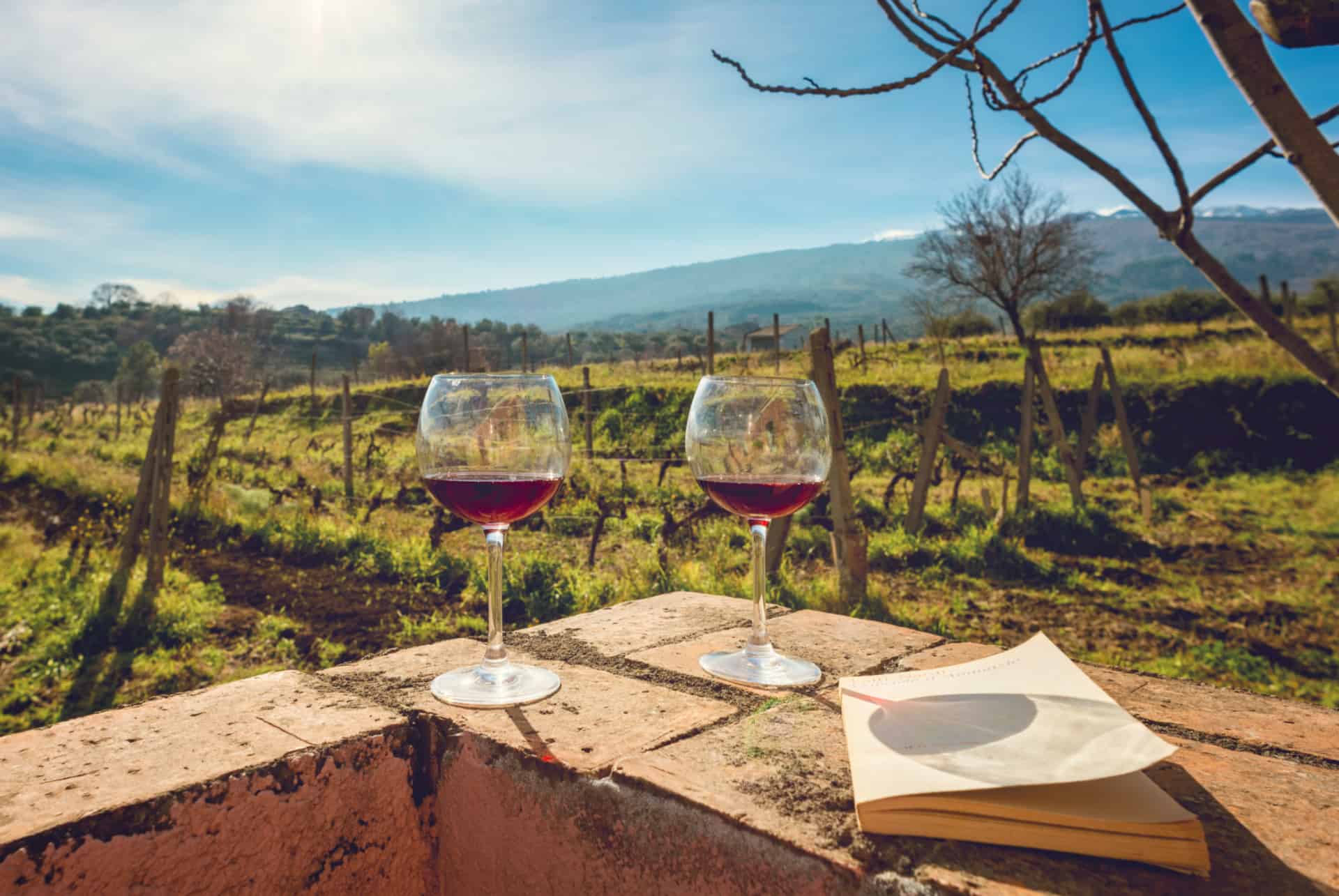 visiter etna degustation de vin