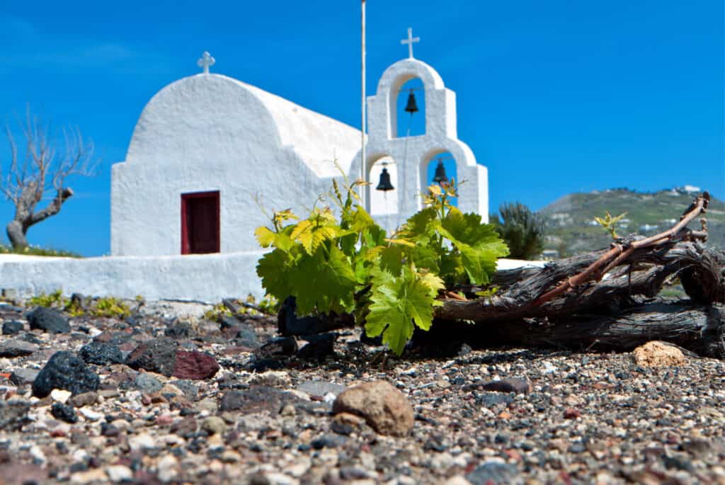 vignoble santorin