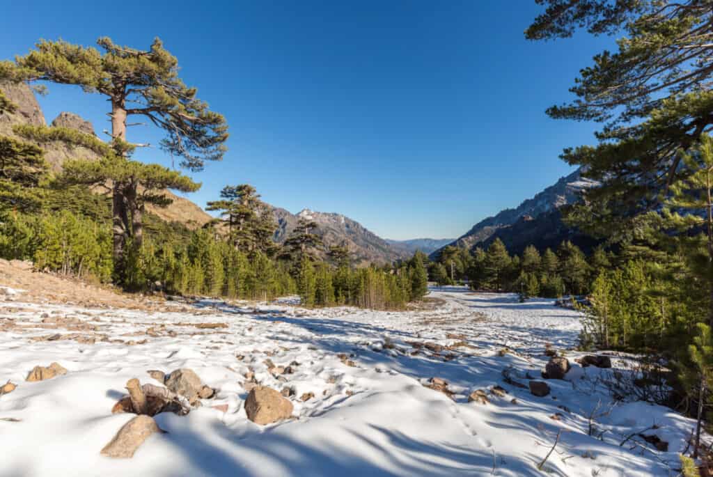 fevrier en corse