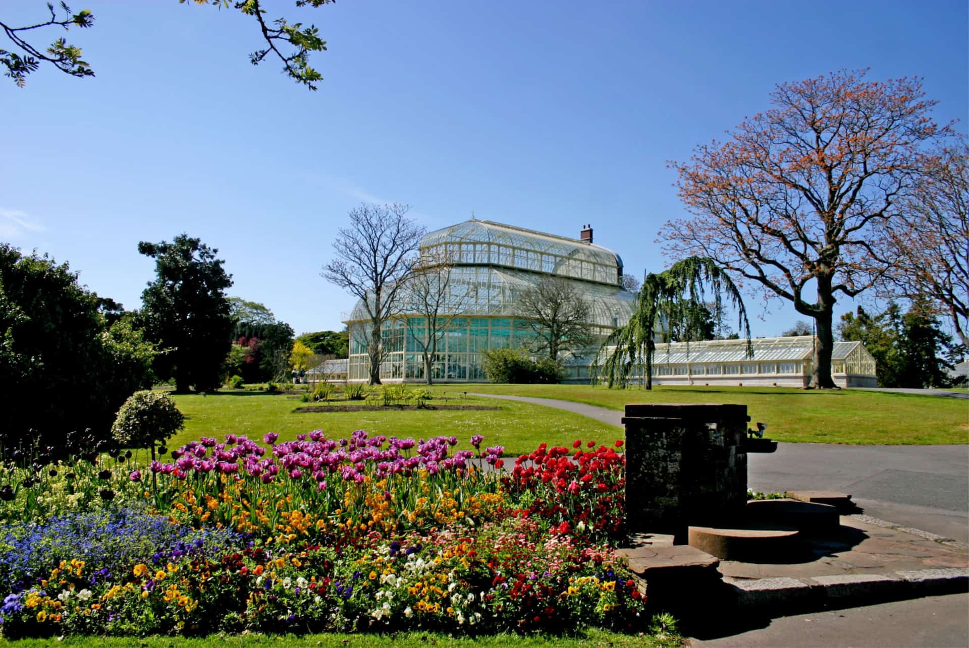 jardin botanique dublin