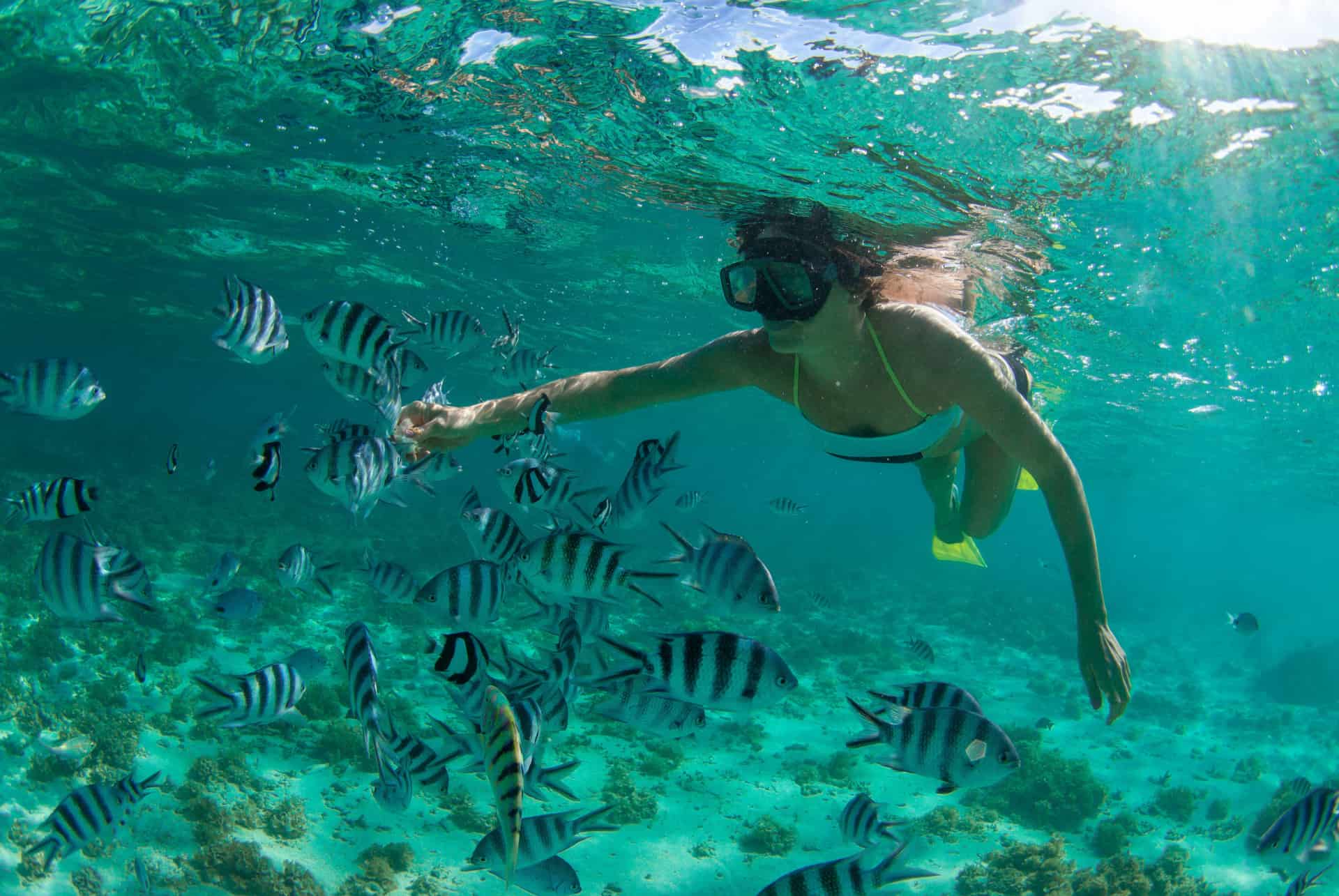 plongée sous marine maurice