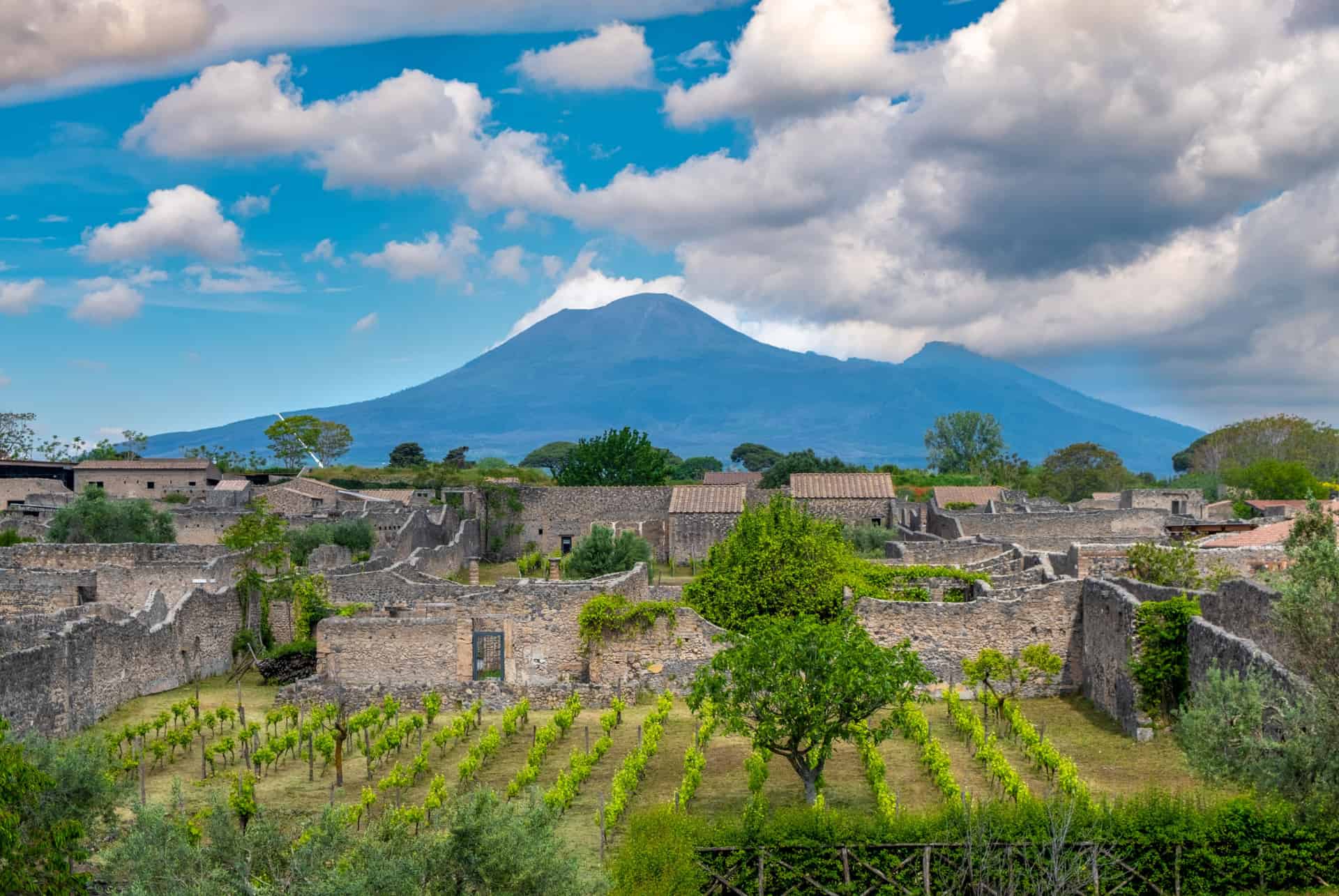 vignoble pompei