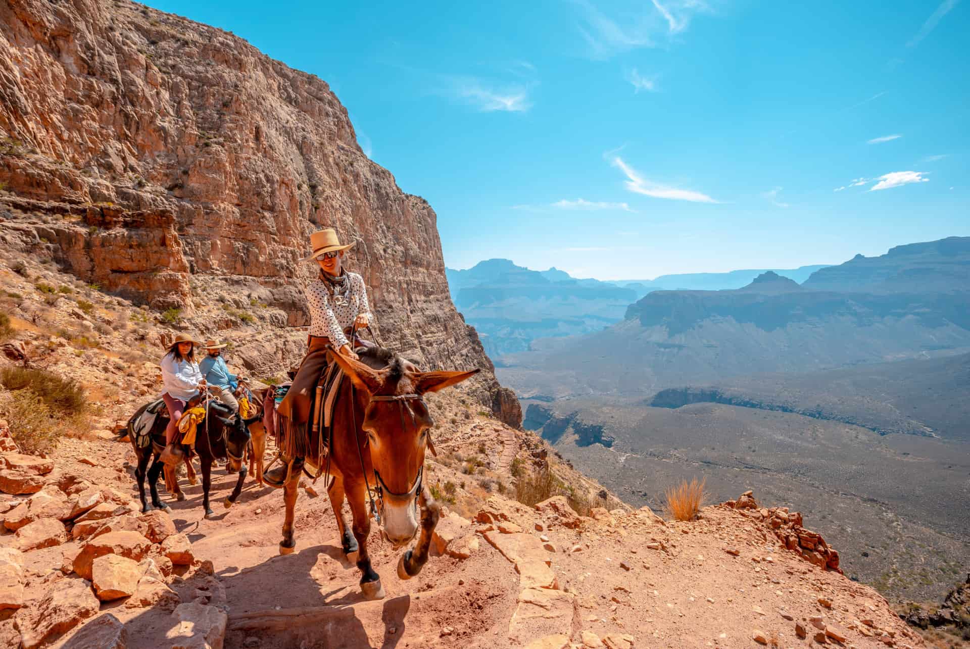 balade mule grand canyon