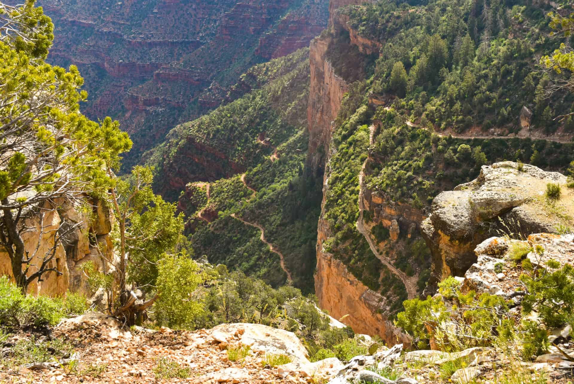 bright angel trail grand canyon 