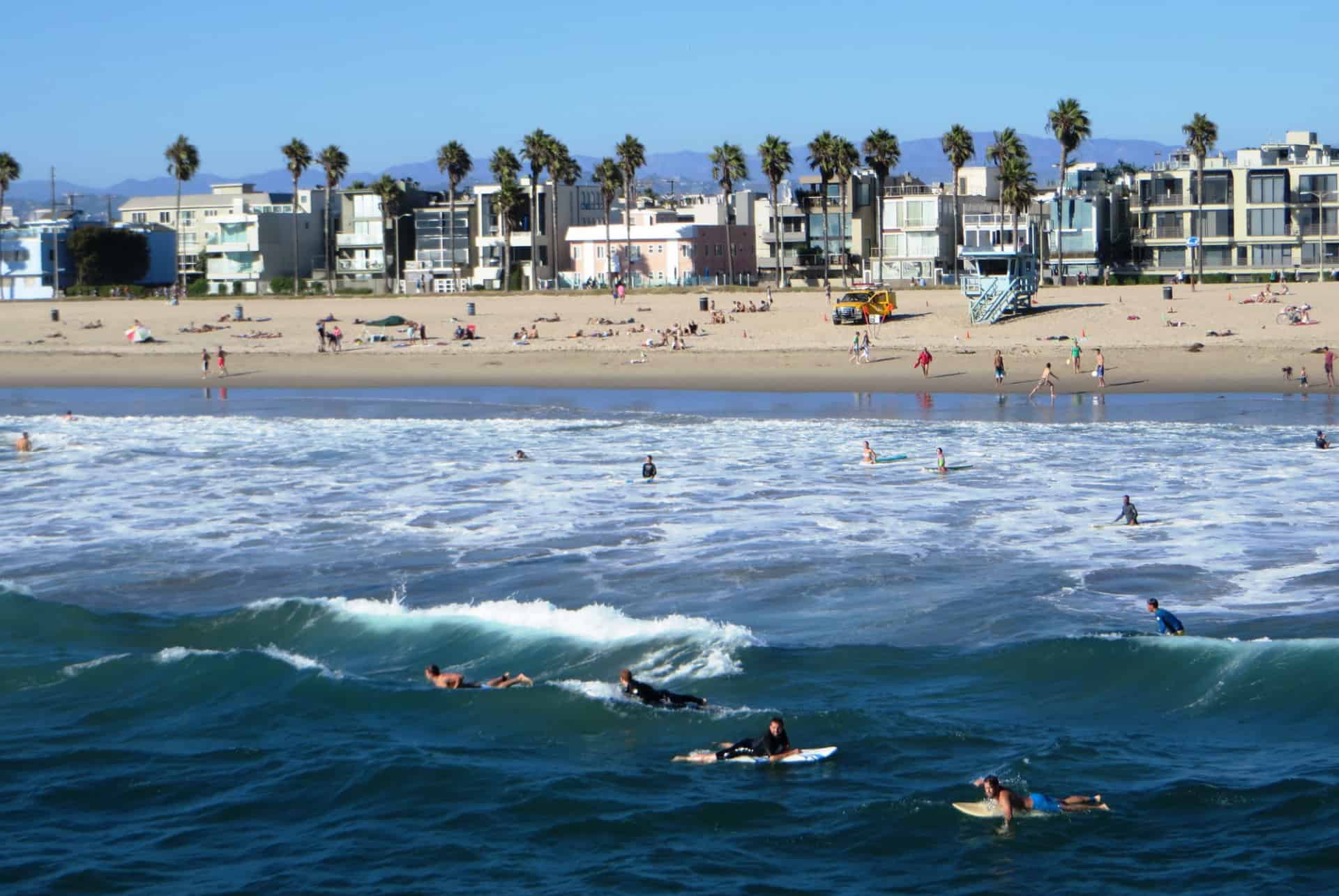 surf venice beach