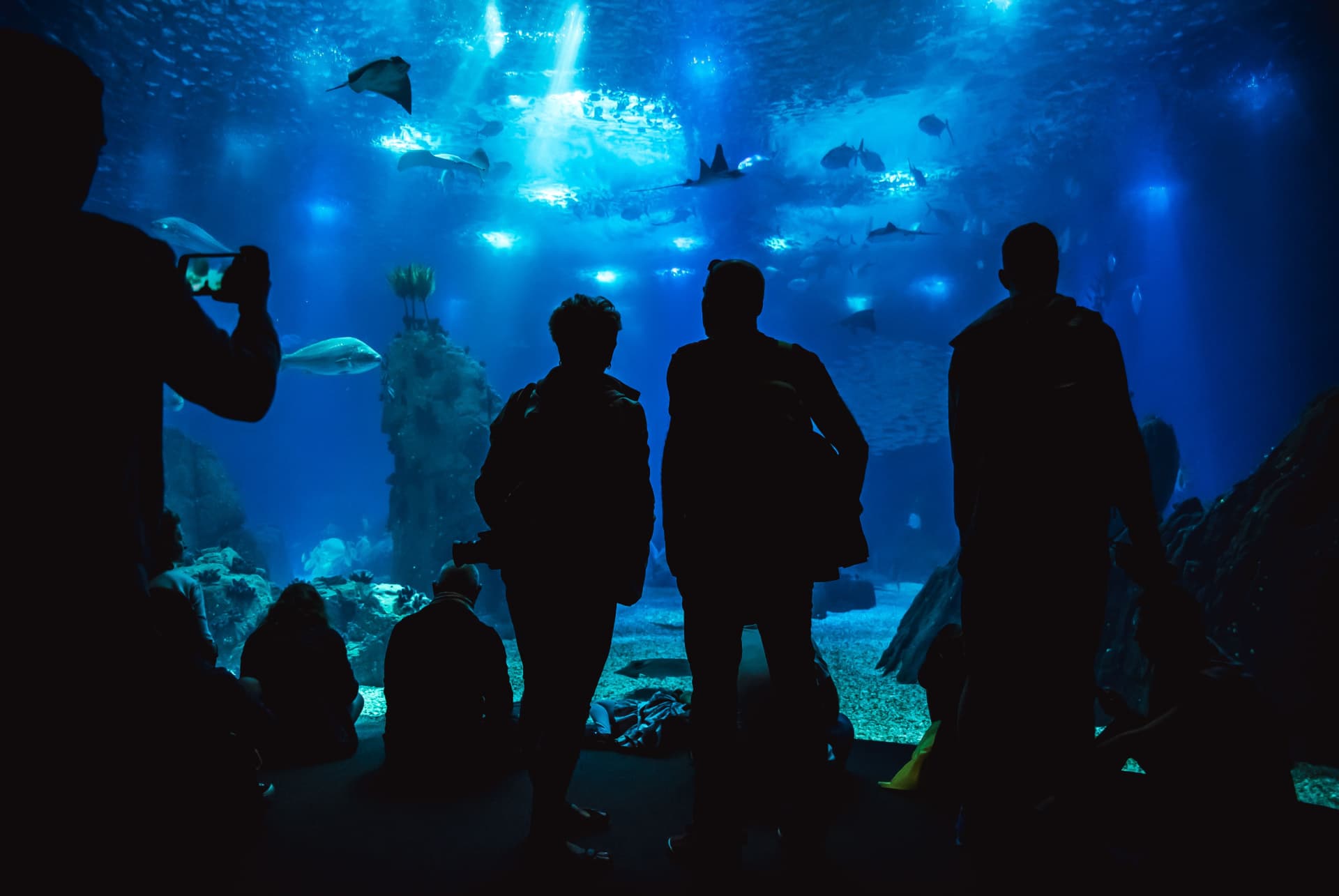 oceanarium lisbonne