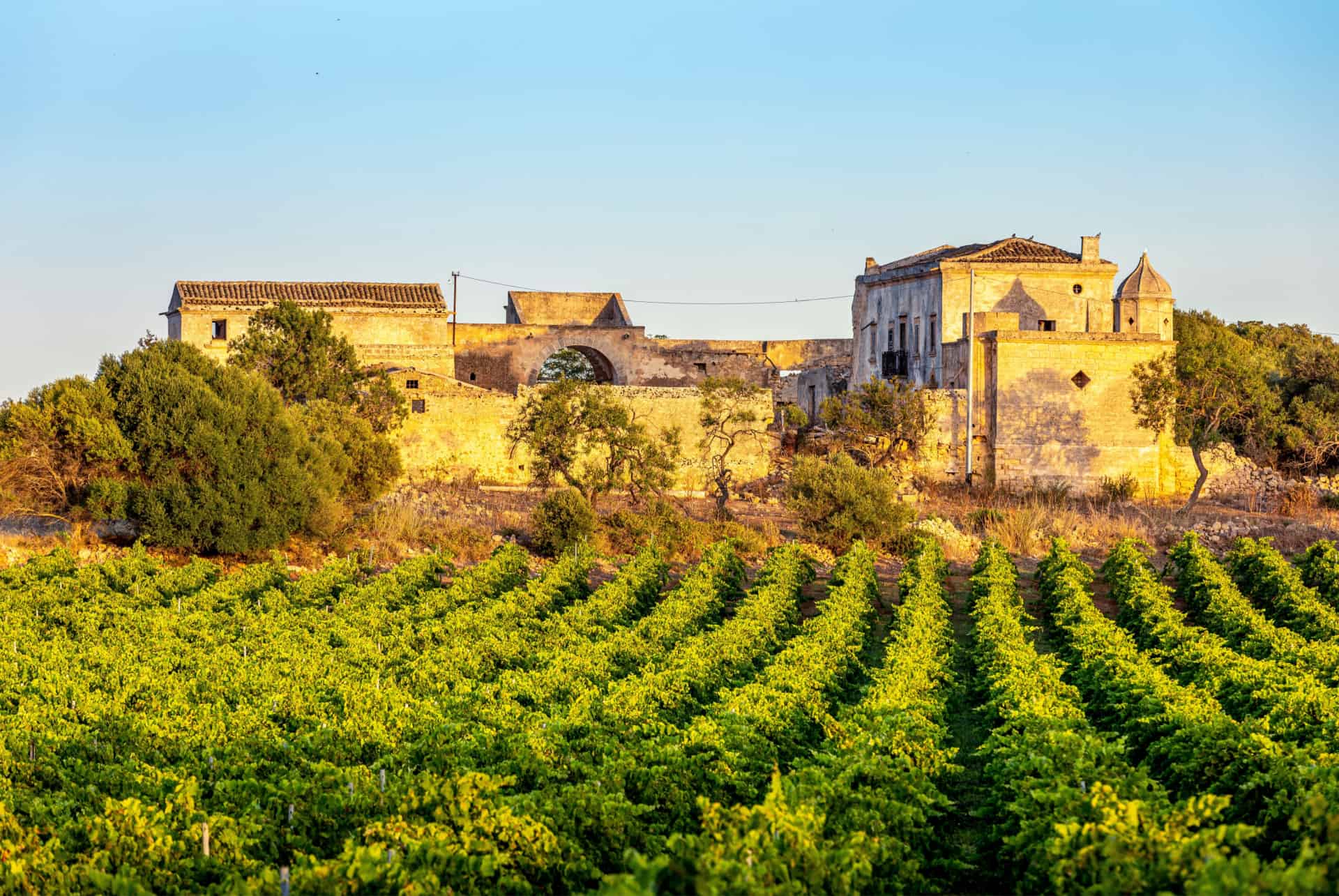 vignobles marsala