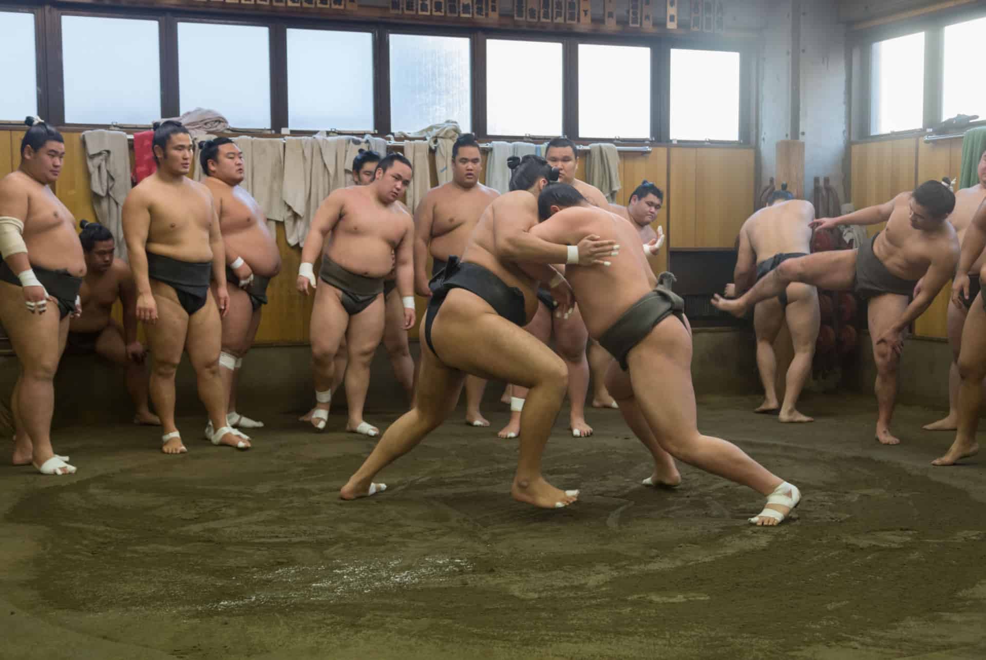 combat de sumo