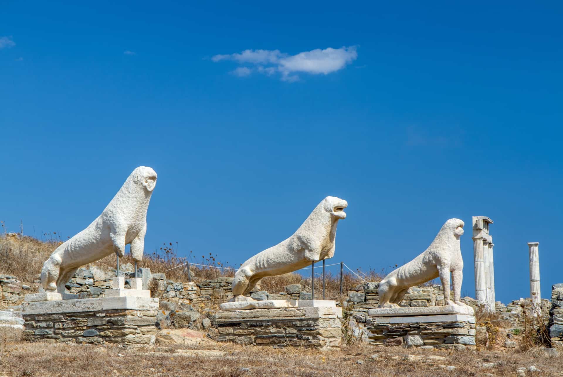 delos que faire mykonos