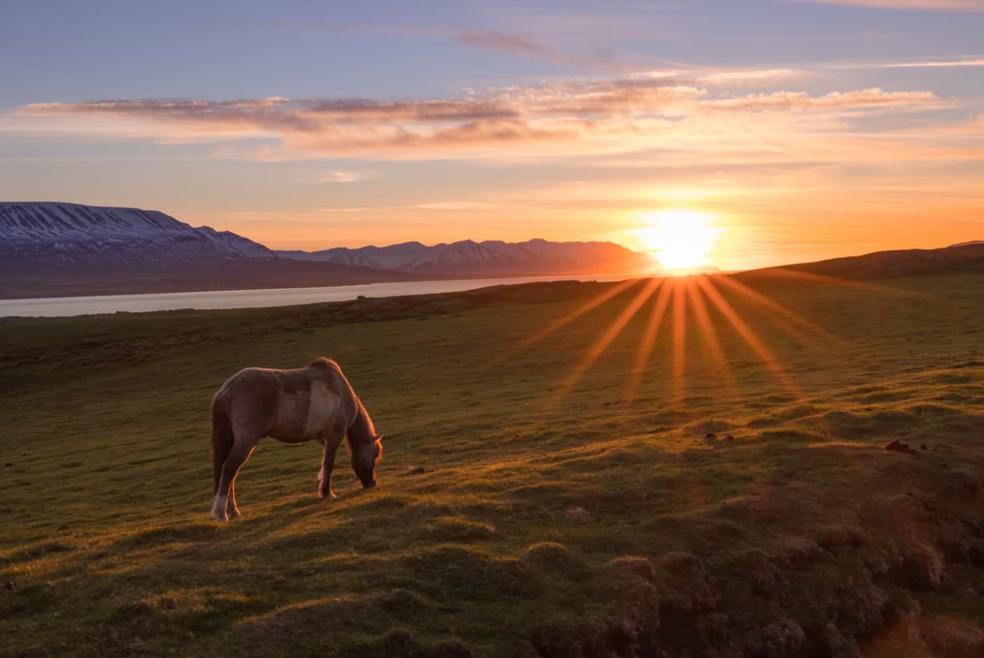 soleil de minuit quand partir en islande