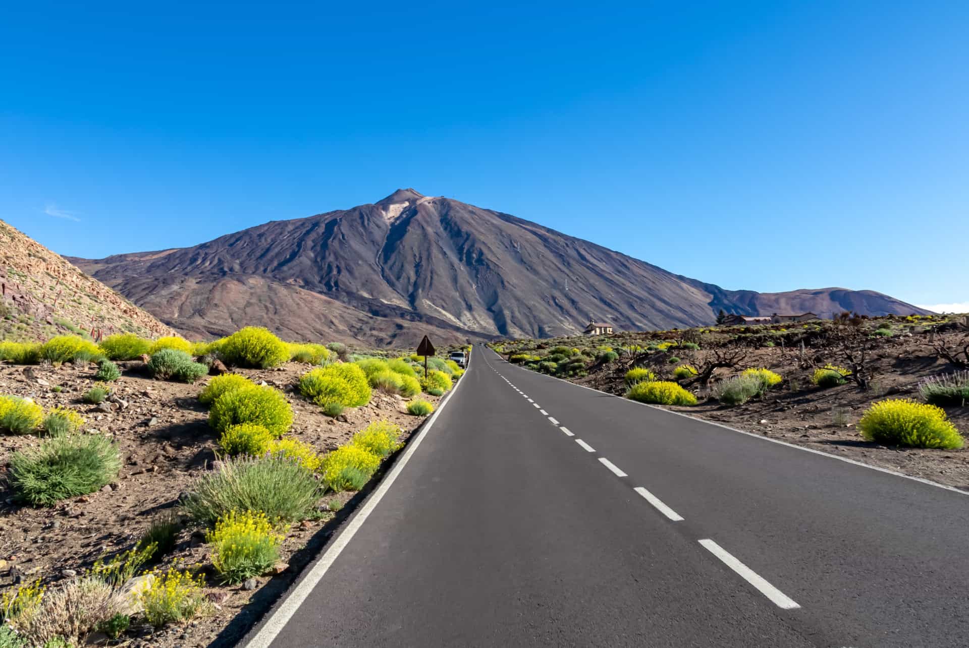 alentour fuerteventura tenerife