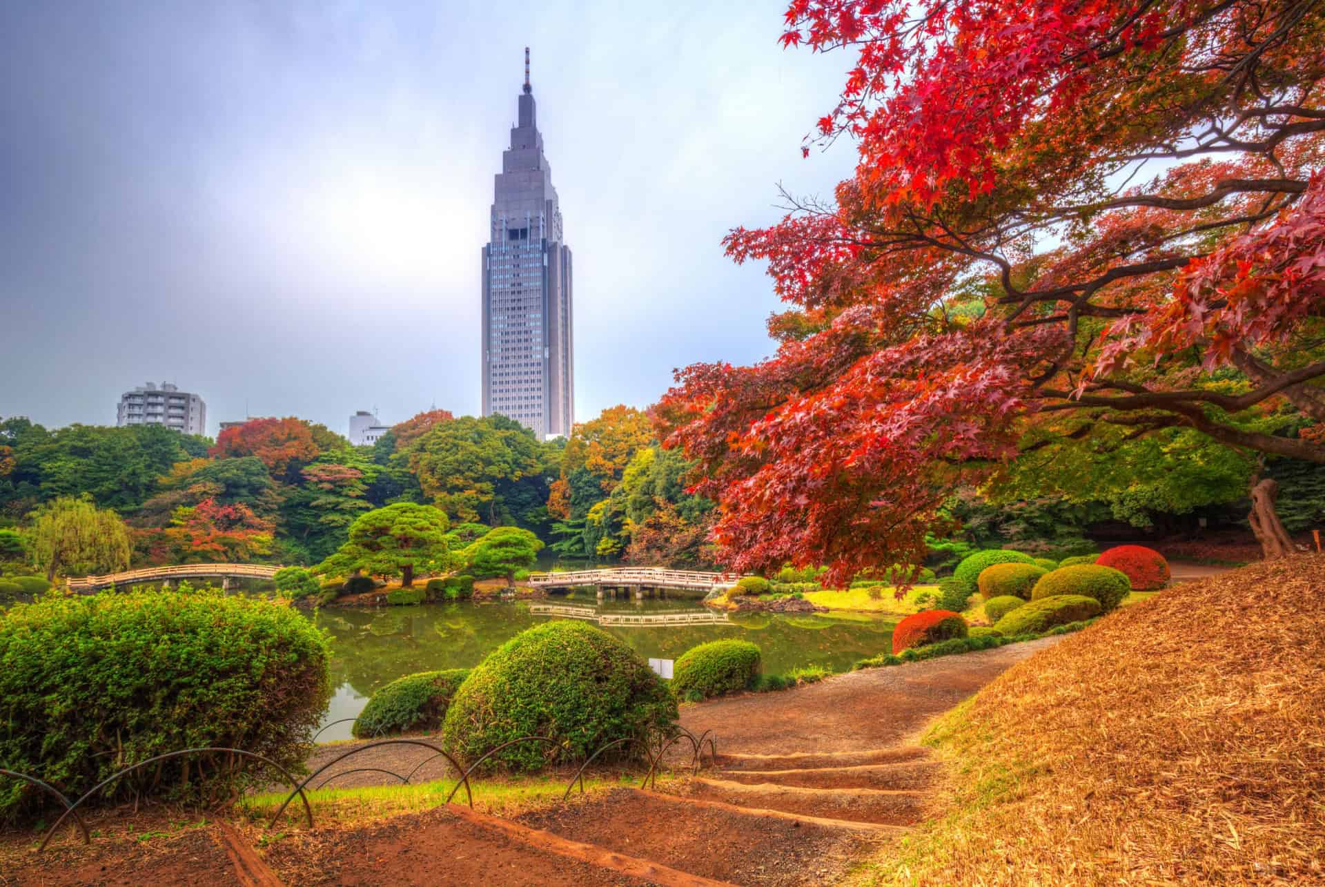 automne shinjuku