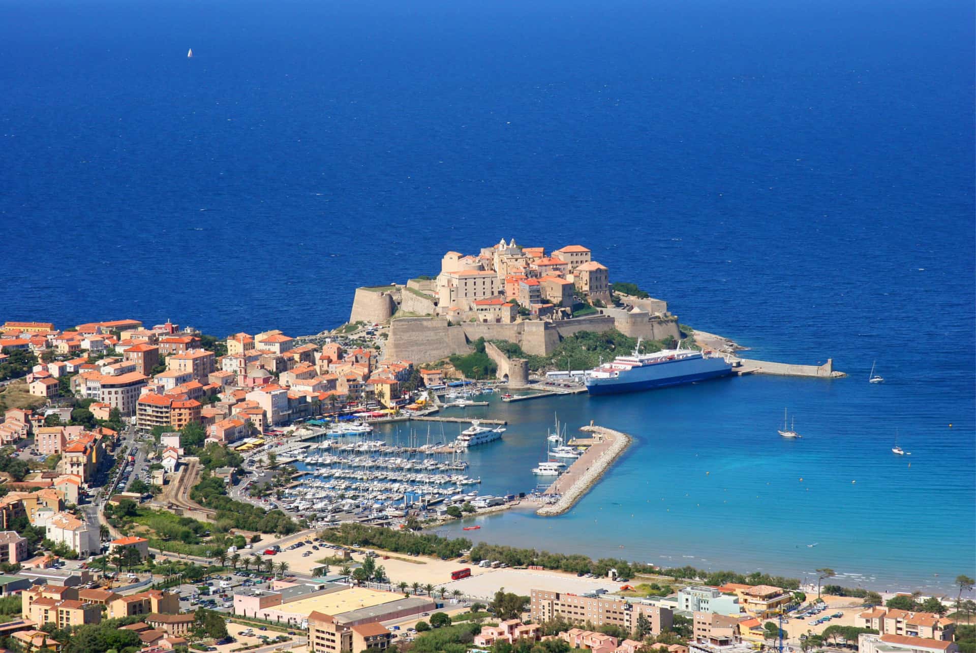 calvi