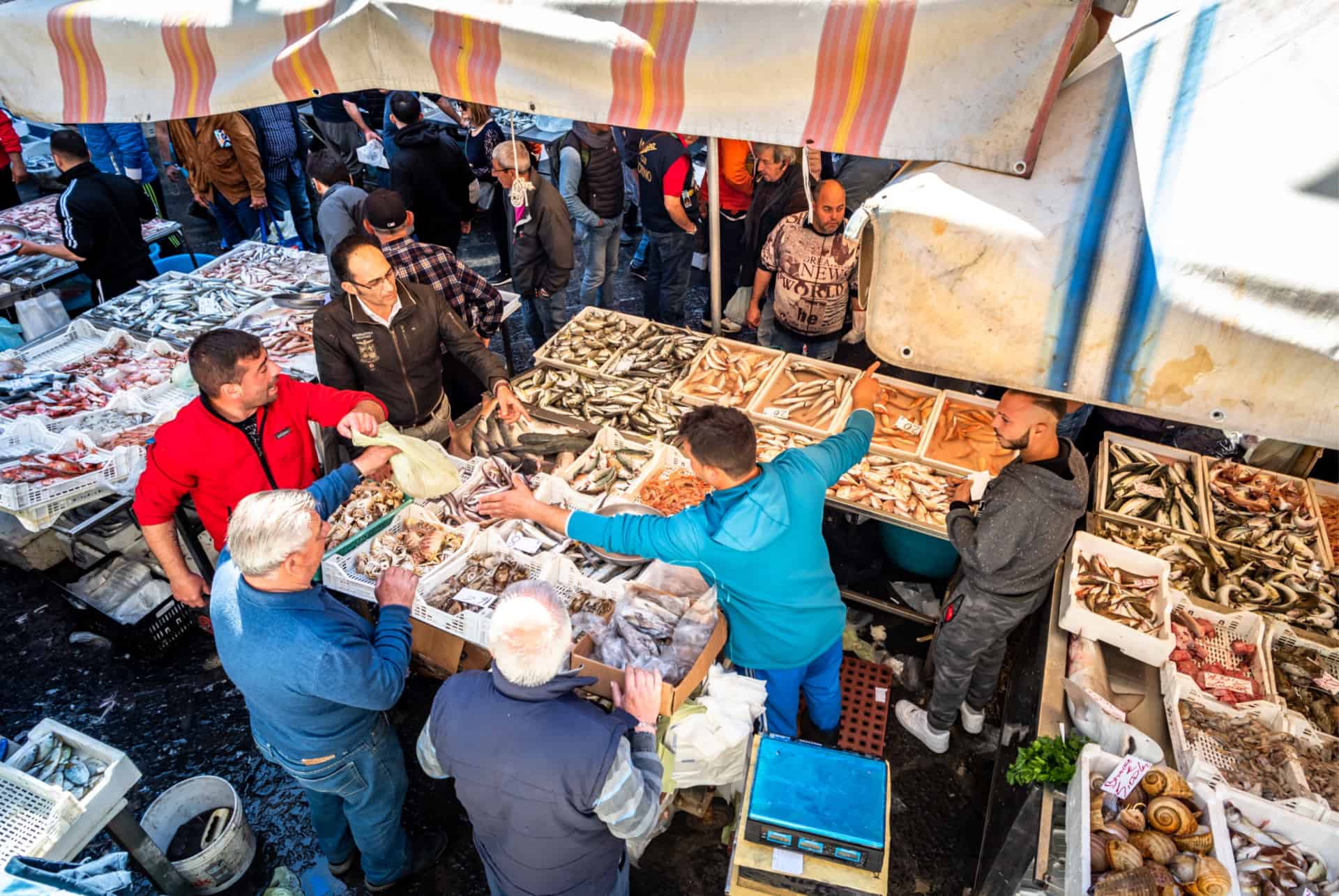 marche catane poisson frais