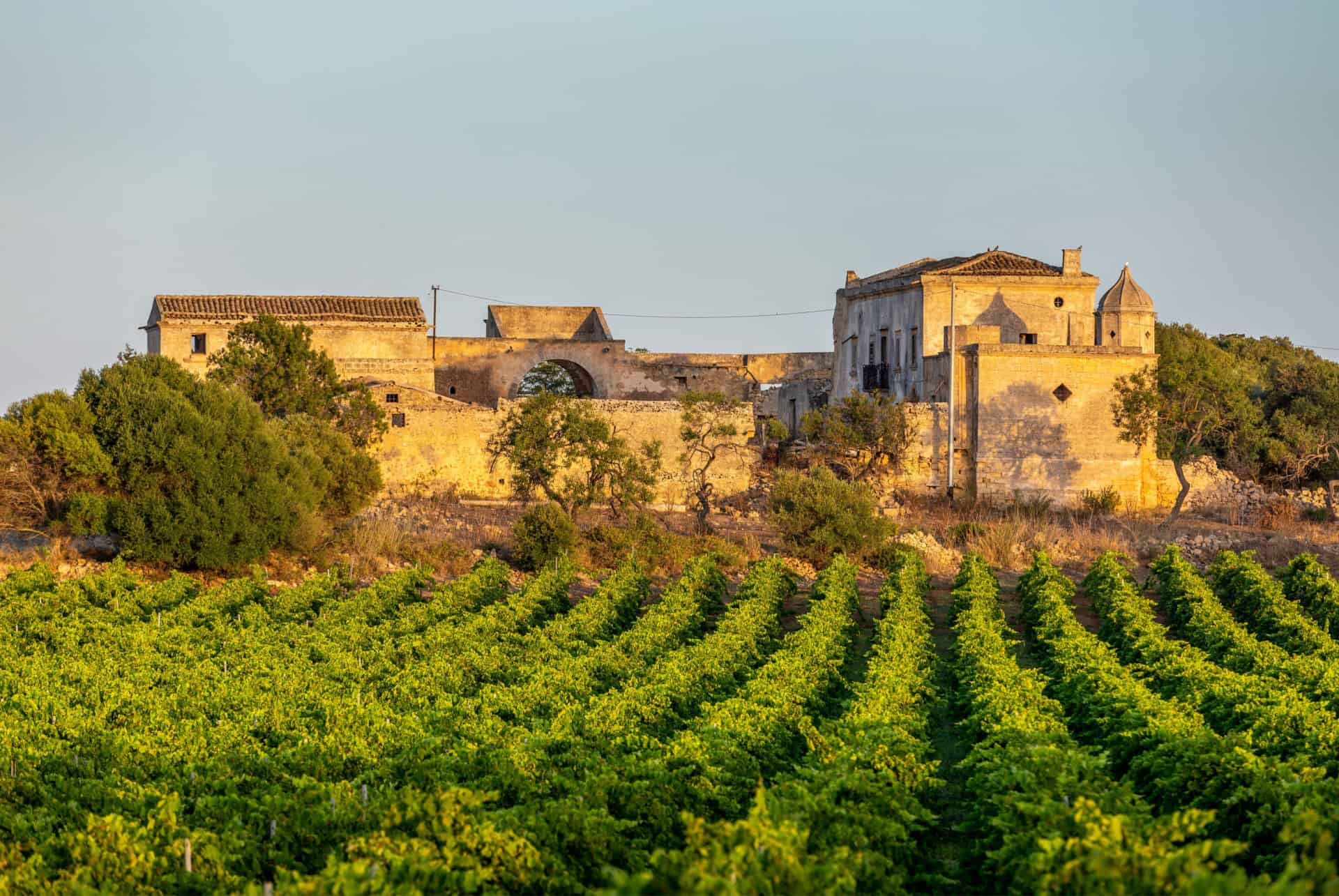 marsala sicile vignoble